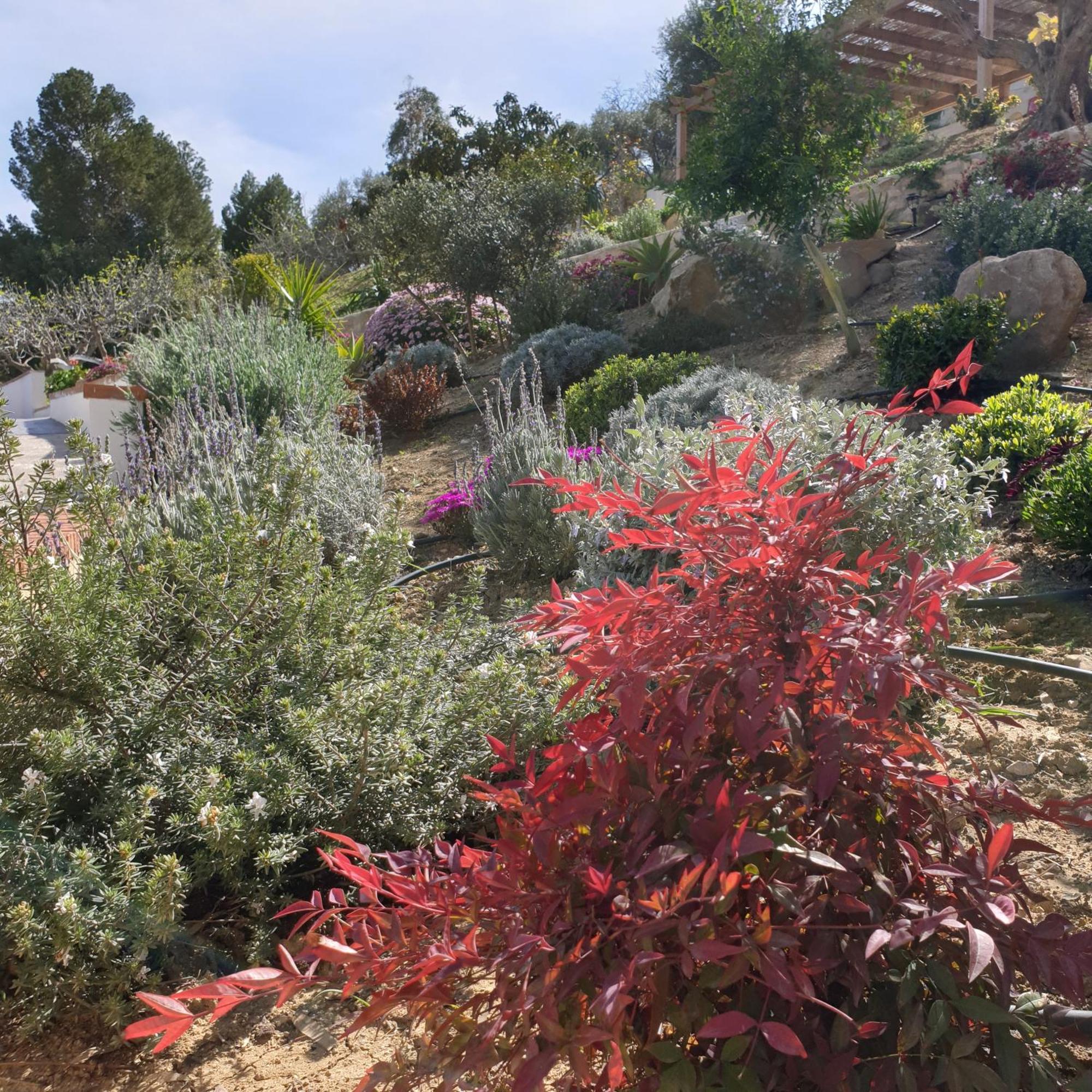 Finca Altozano - Private Pool - Unique Client Valle de Abdalagís 외부 사진