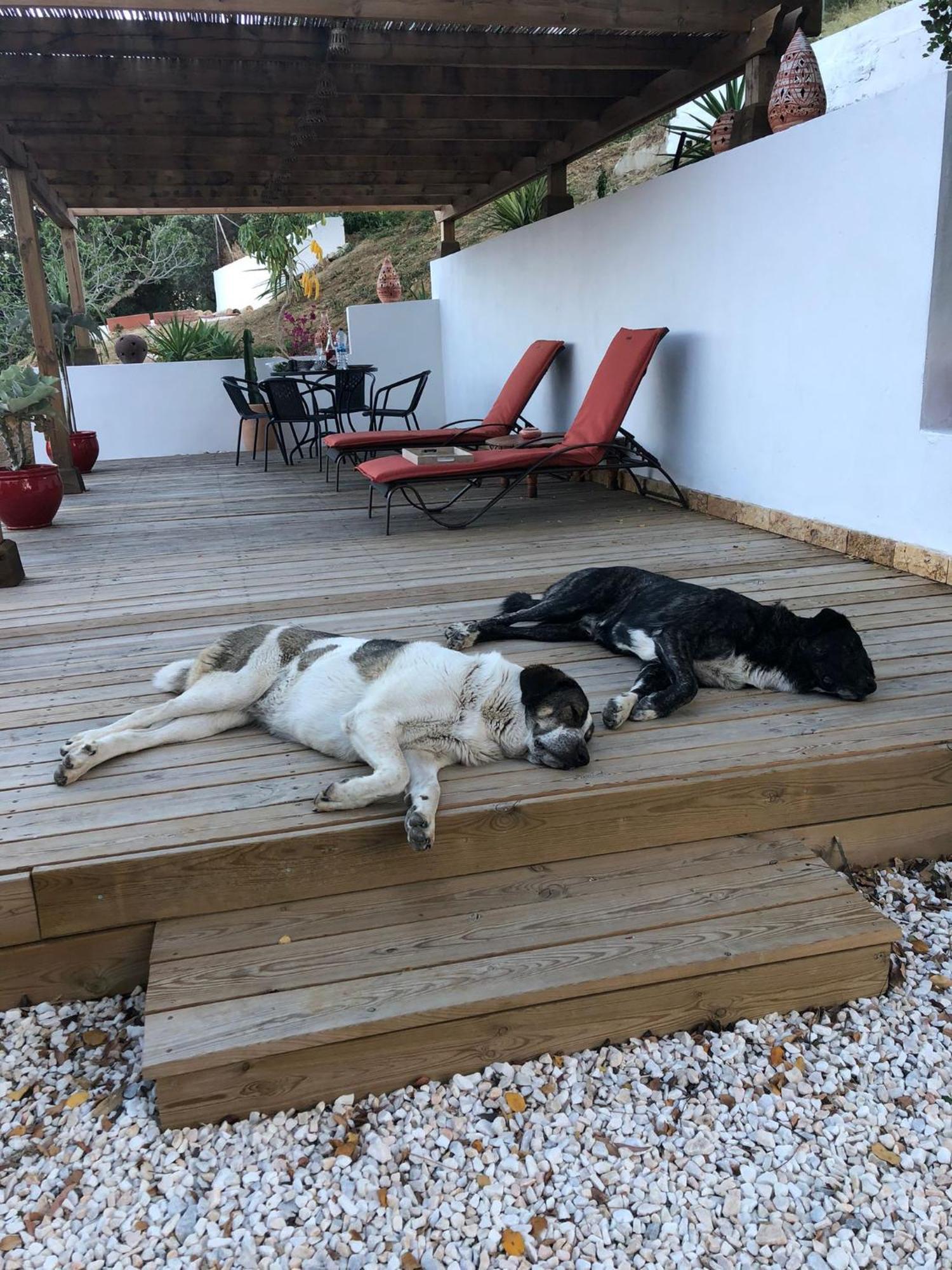 Finca Altozano - Private Pool - Unique Client Valle de Abdalagís 외부 사진