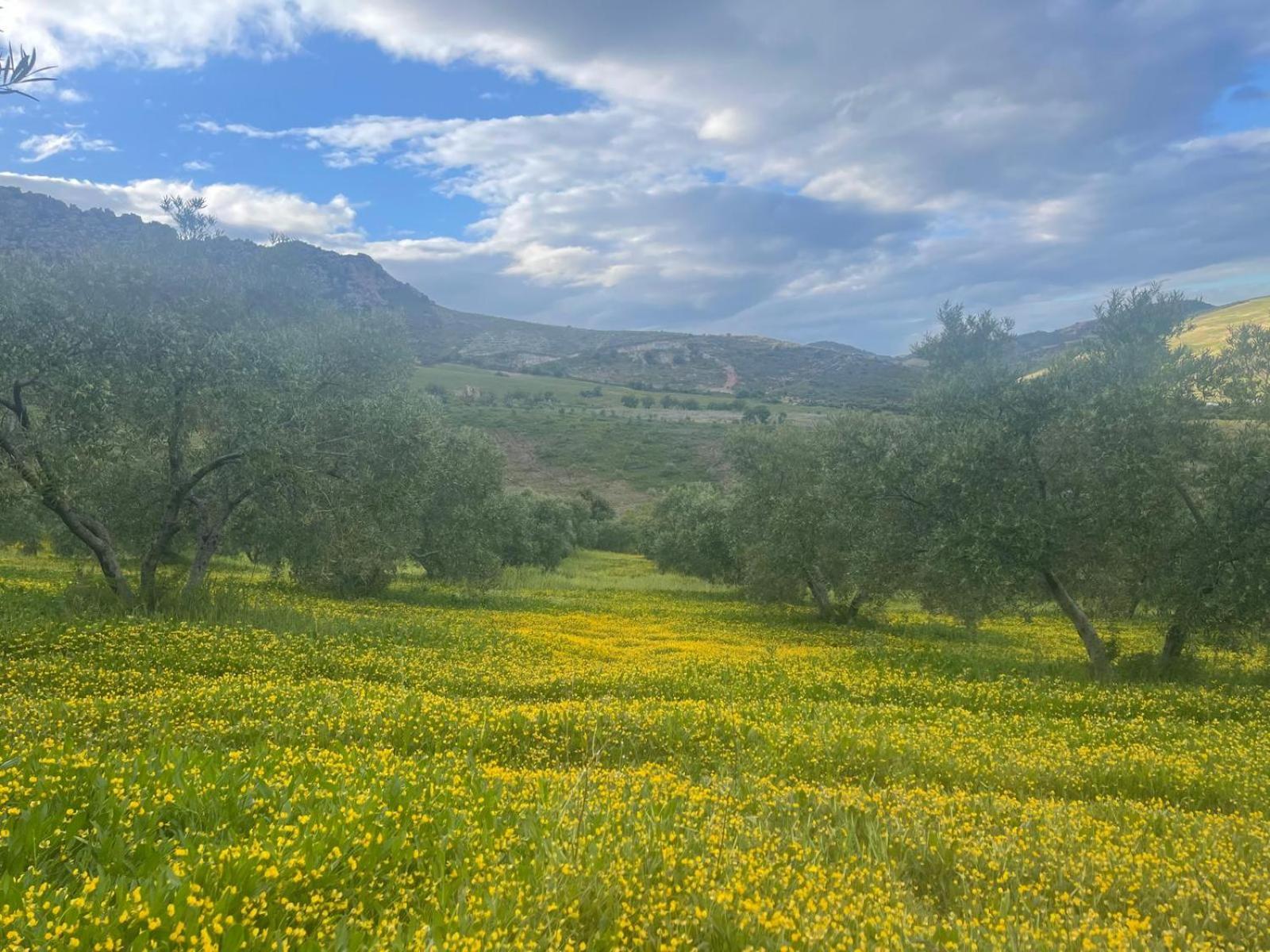 Finca Altozano - Private Pool - Unique Client Valle de Abdalagís 외부 사진